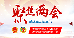 2020��������