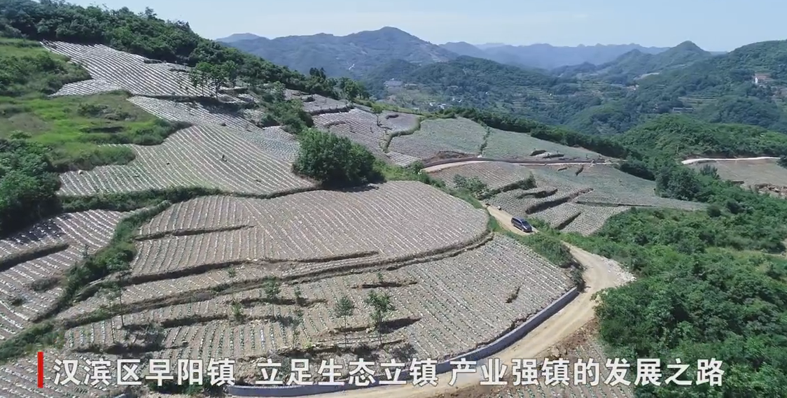 �����������򣺴�����չ������ҵ ��ʵ������˻���