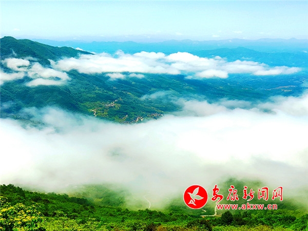 �����ƺ�