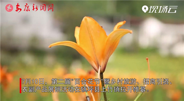 �����ţ���԰�ٺϻ�Ʈ��