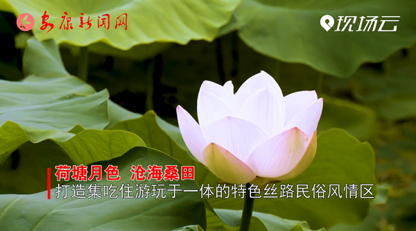 �����ţ����С���ɽ������  ��ǿ��������