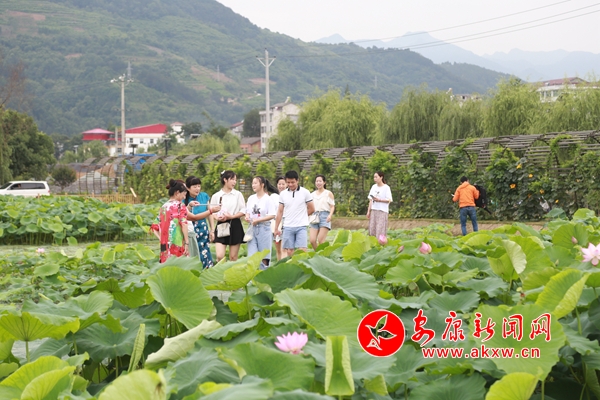 ʯȪ�غӣ��ɻ�Ʈ��������