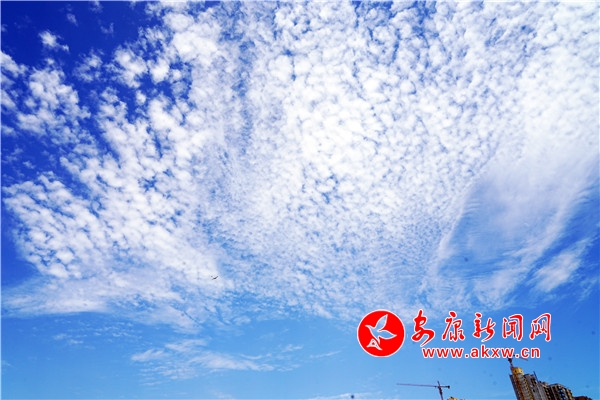 �������ӳ����