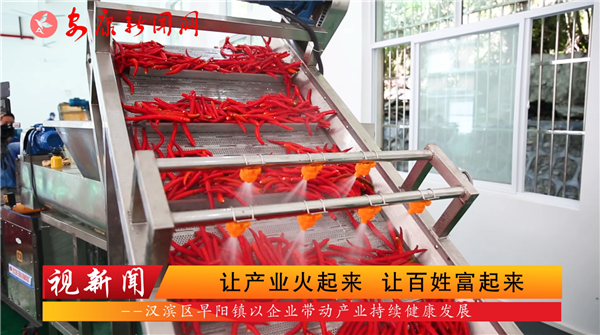 �����ţ��ò�ҵ���������ð��ո�����