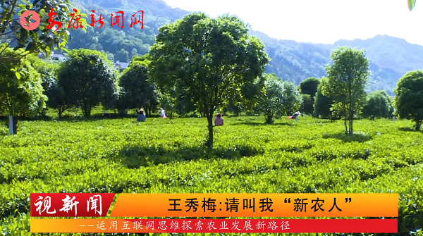 �����ţ�����÷������ҡ���ũ�ˡ�