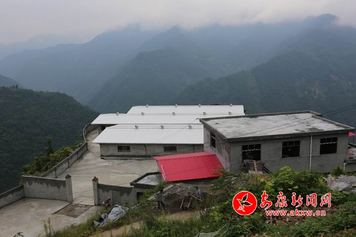 ������С 3K8A9932.JPG