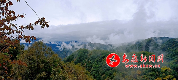 �̶�������ɫ���