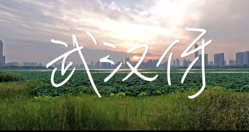 �ڰ������й��Ρ������´����������人��