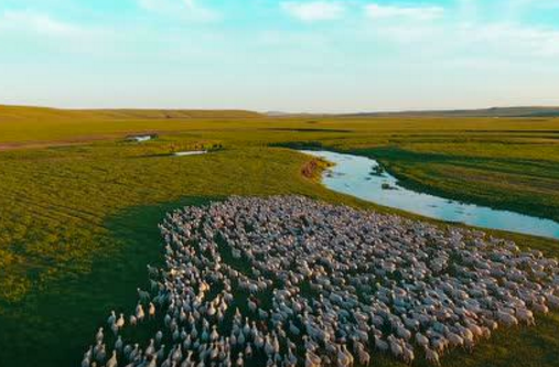 �ڰ������й��Ρ������´�������������С����