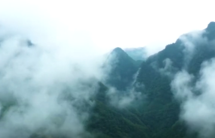 �ڰ������й��Ρ������´�������������ɽ�Ͽ�ɳɳ��