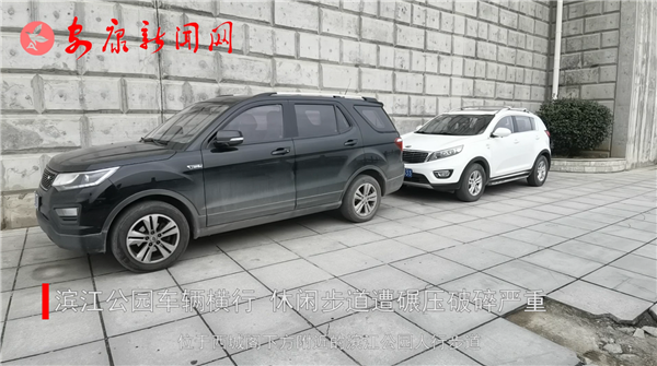 �����ţ�������԰�������� ���в�������ѹ��������