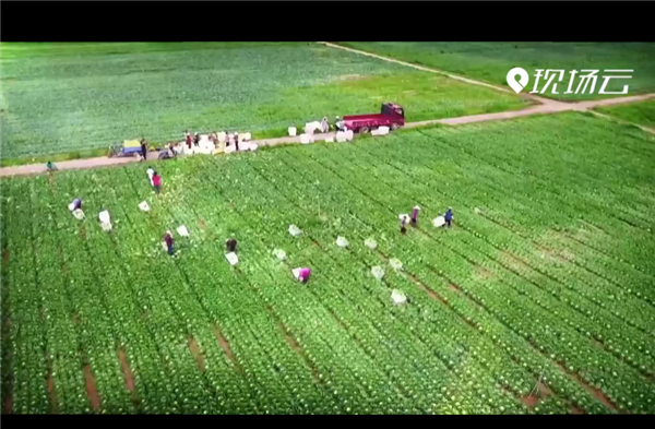 ȫ������ƶ���ᡱ�����¼Ƭչ��������ս��ƶ�ڽ񳯡���һ�� ����Ӳ��ͷ������