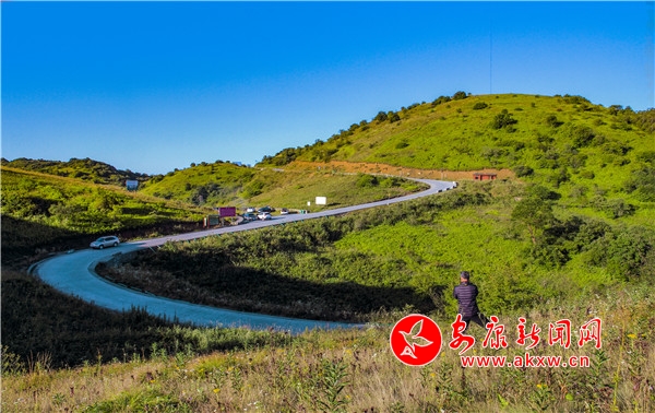 �����ݵ���