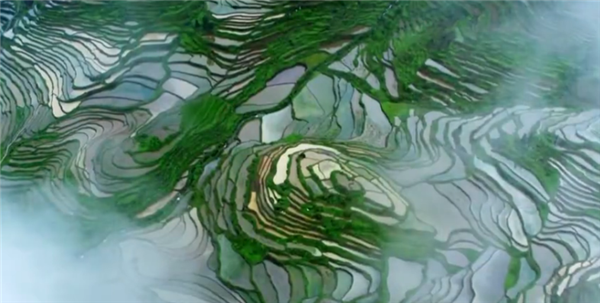 ȫ������ƶ���ᡱ�����¼Ƭչ������¼Ƭ�����Ӣ����Ϧ�̡����弯����������