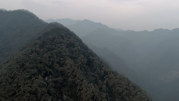 ���Ľ����������ļ�ֵ������΢��Ӱ������Ʒչ��������������Ը��