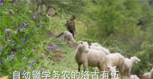 ȫ������ƶ���ᡱ�����¼Ƭչ������¼Ƭ�������ռǡ������������Ľ�5