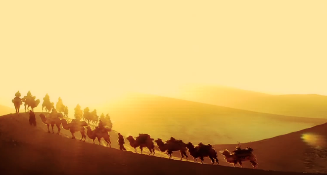 ʱ����ģ | �ػ��о�Ժ���ﱣ������Ⱥ��