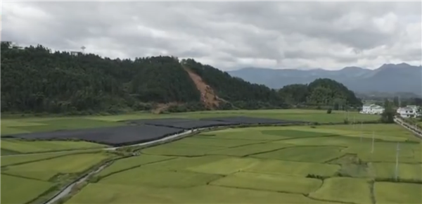 ȫ������ƶ���ᡱ�����¼Ƭչ����ϵ�м�¼Ƭ���ߴ�ֱ������ƶ��֮��