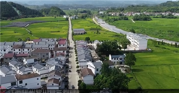 ȫ������ƶ���ᡱ�����¼Ƭչ����ϵ�м�¼Ƭ���ߴ�ֱ������ƶ��֮��