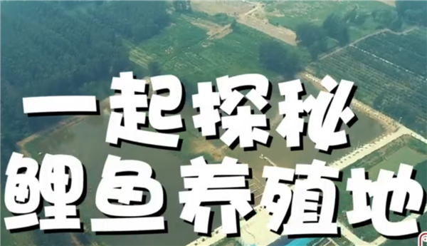 ȫ������ƶ���ᡱ�����¼Ƭչ����ϵ�м�¼Ƭ���ߴ�ֱ������ƶ��֮��