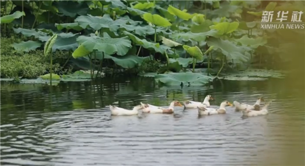 ȫ������ƶ���ᡱ�����¼Ƭչ��������ӰƬ���ܡ��Һ��ҵ����ˡ�