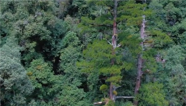 ȫ������ƶ���ᡱ�����¼Ƭչ��������Խŭ����������������ɽ