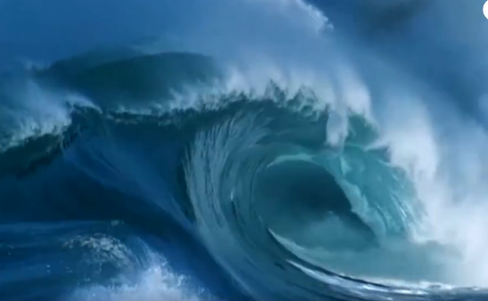 ���Ұ�ȫ��������Ƭ��Ϯ