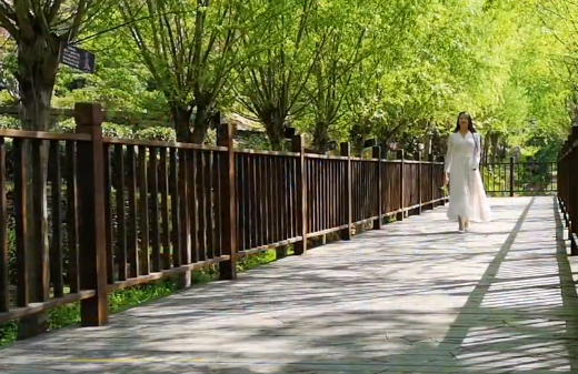 ������̬���ɾ���������