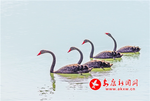 �����������조����족�ɷü�