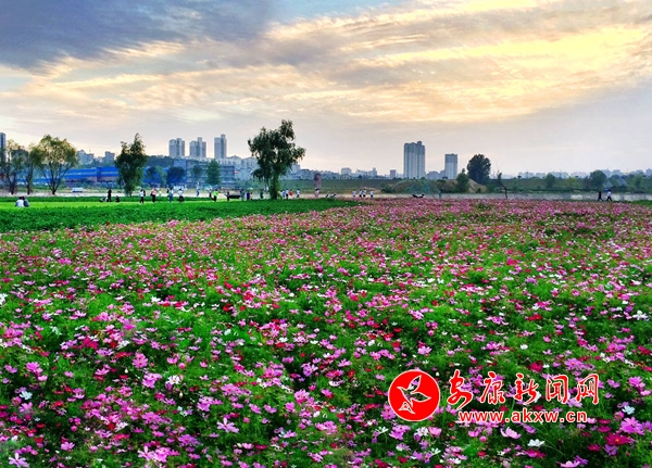 �ߣ��������Ƕ���������ȥ