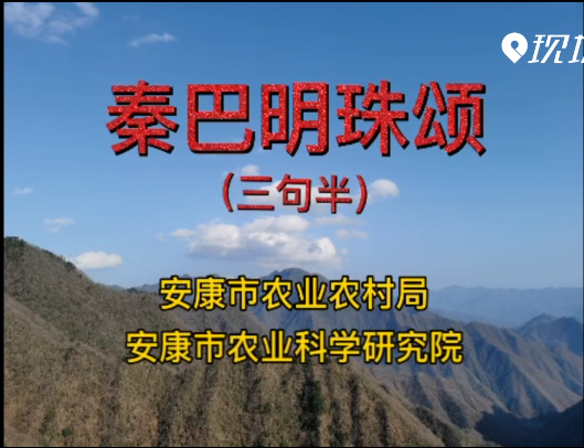 �ذ�������