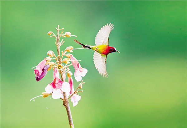 ������ ��̬����