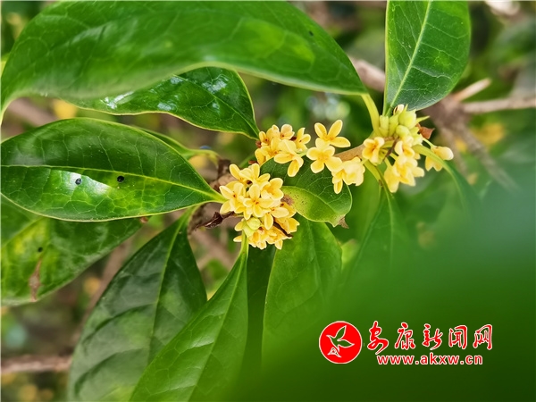 ���¹�Ʈ��ʱ ���˻���������