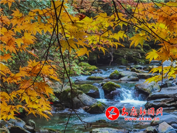 ᰸�ǧ����ﾰ���续