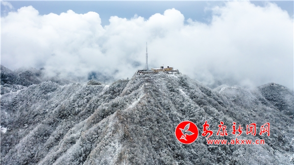 ����֮ѩ������