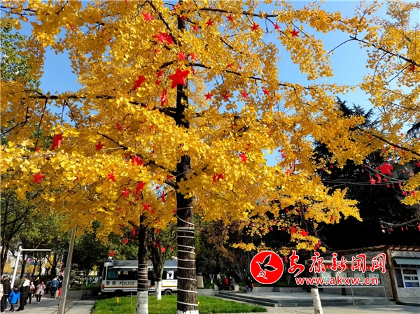 ����ů��������