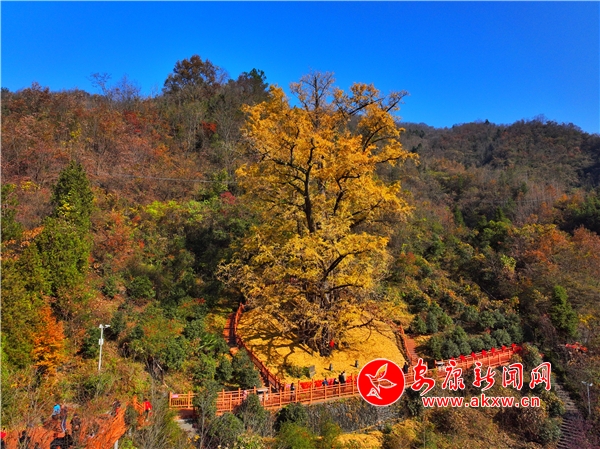 �׺��ض��¹�������ӭ����ѹ�����