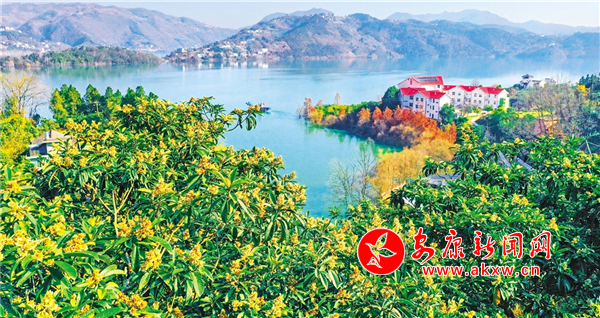 孺���Ķ������ӭ��ʢ����