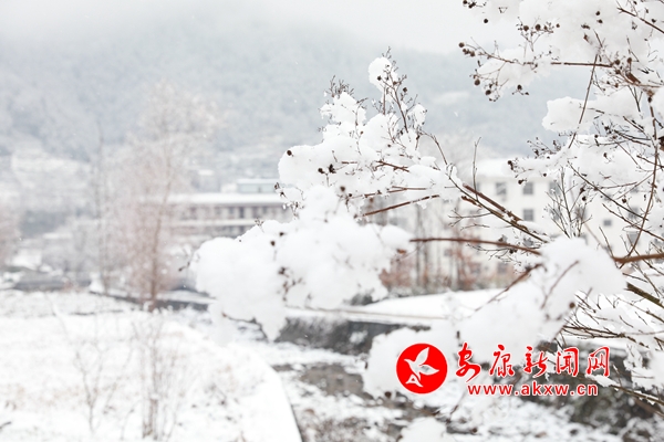 ��ѩС�������