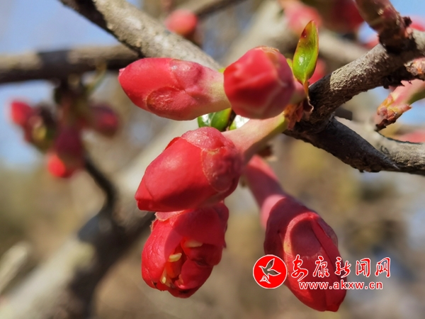 ���������أ����ڻ��� ���⽥Ũ