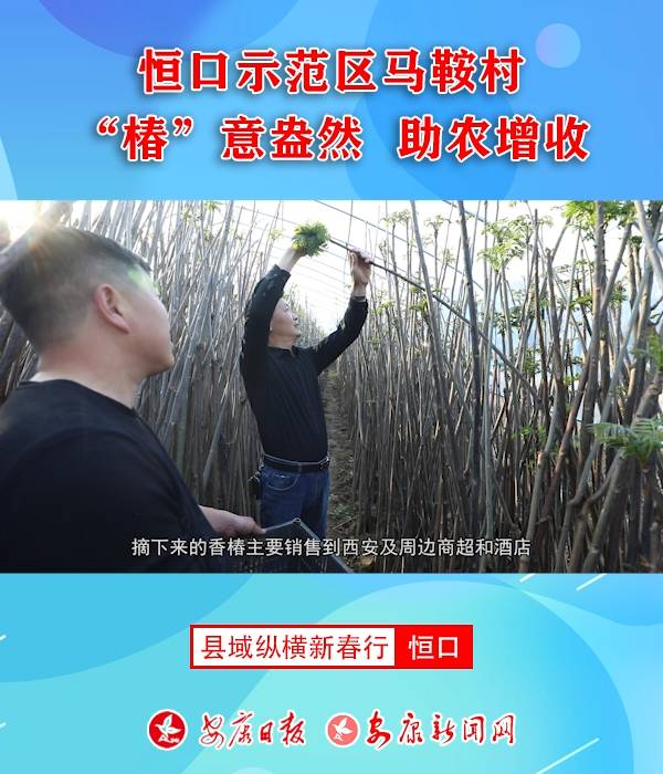 ���ʾ���������塰�����ⰻȻ ��ũ����