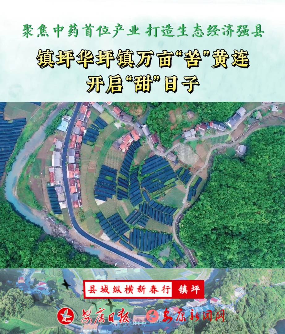 ��ƺ��ƺ����Ķ���ࡱ����������������