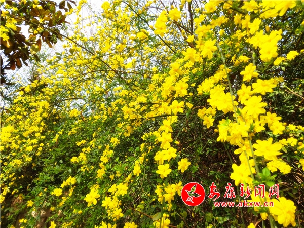 �����������Ǵ�