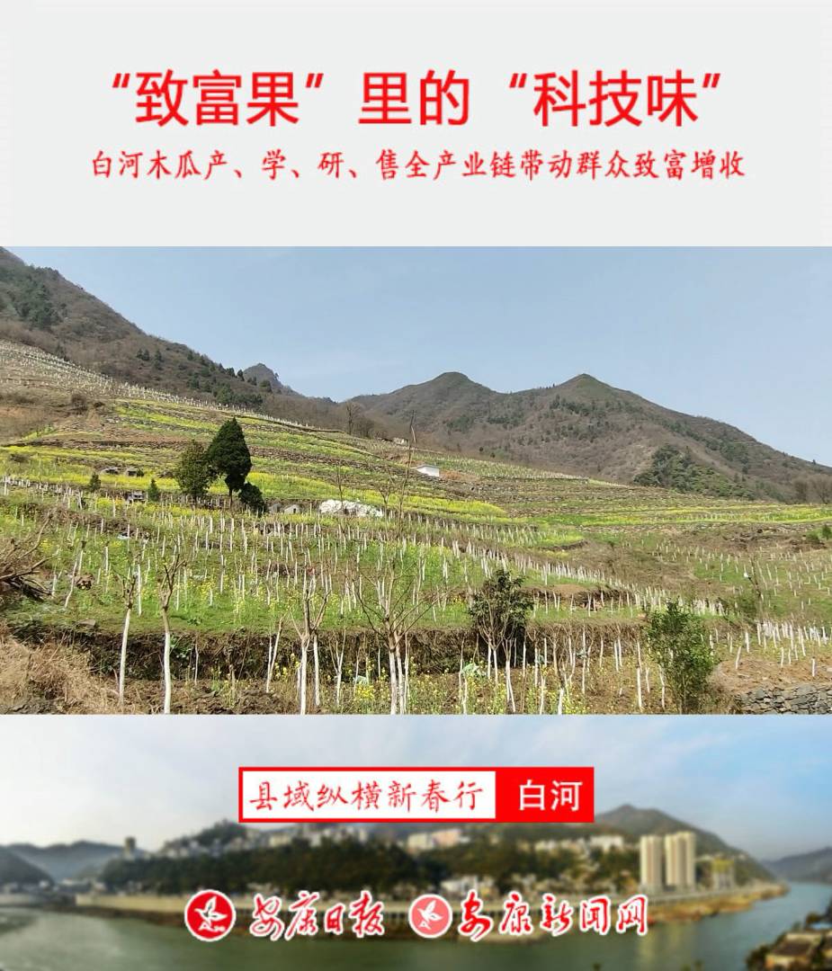 ���¸�������ġ��Ƽ�ζ��