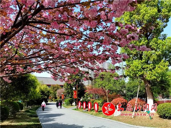 �˰���԰���ⰻȻ