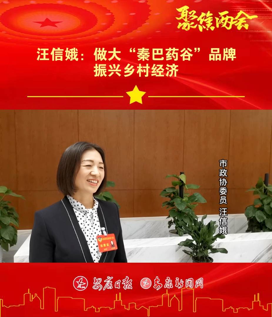 ����ר�� | ���Ŷ������ذ�ҩ�ȡ�Ʒ�ƣ�������徭��