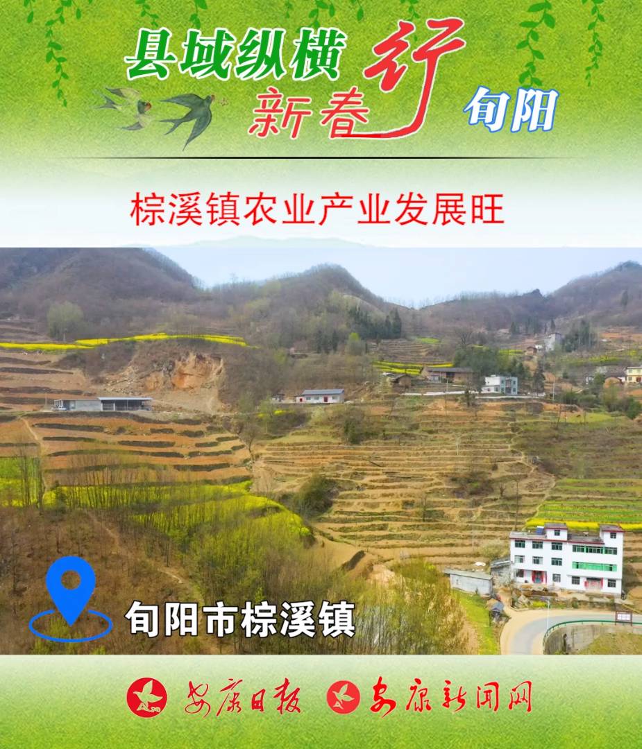 Ѯ������Ϫ����ũҵ��ҵΪ��ץ��