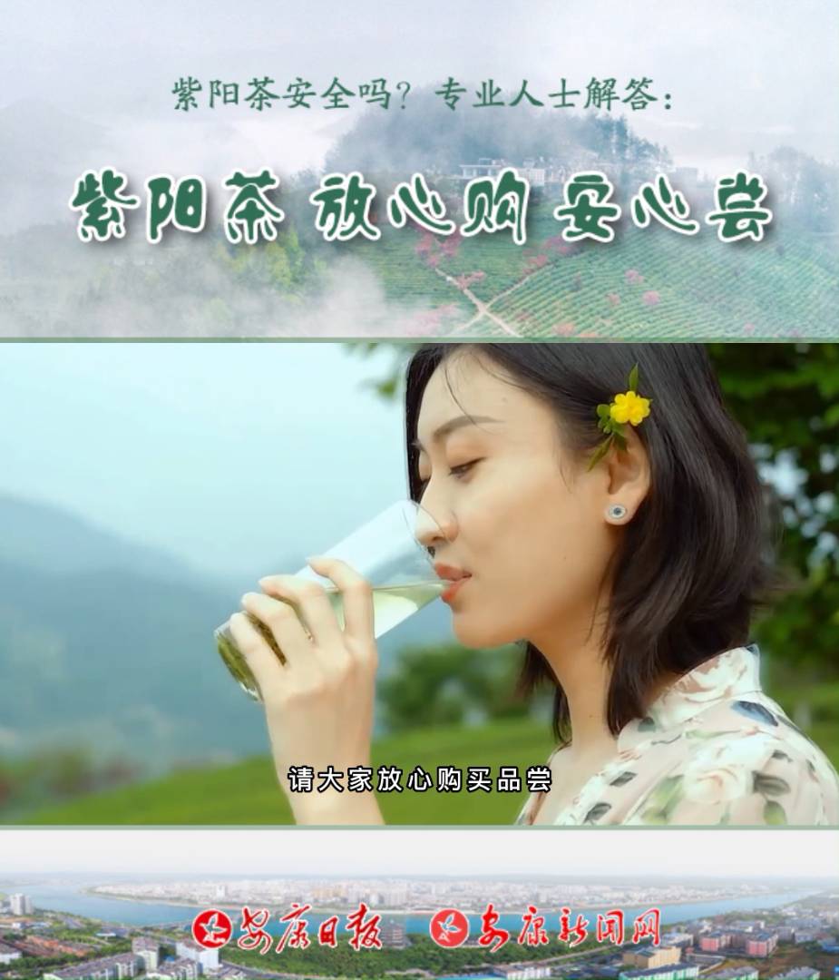 �����谲ȫ��רҵ��ʿ��������裬���Ĺ������ĳ���