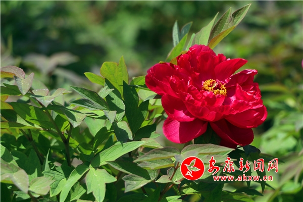 ������ĵ������������