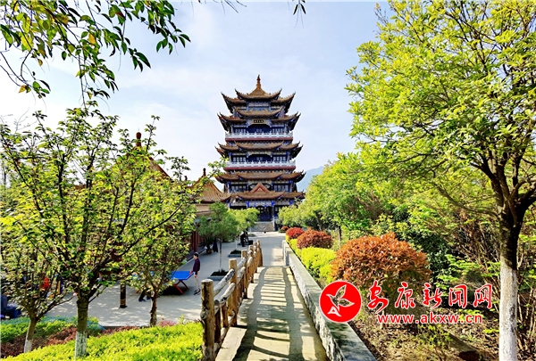 ����������һ��